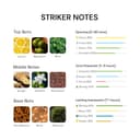 Striker mint lemon and ginger scent notes display