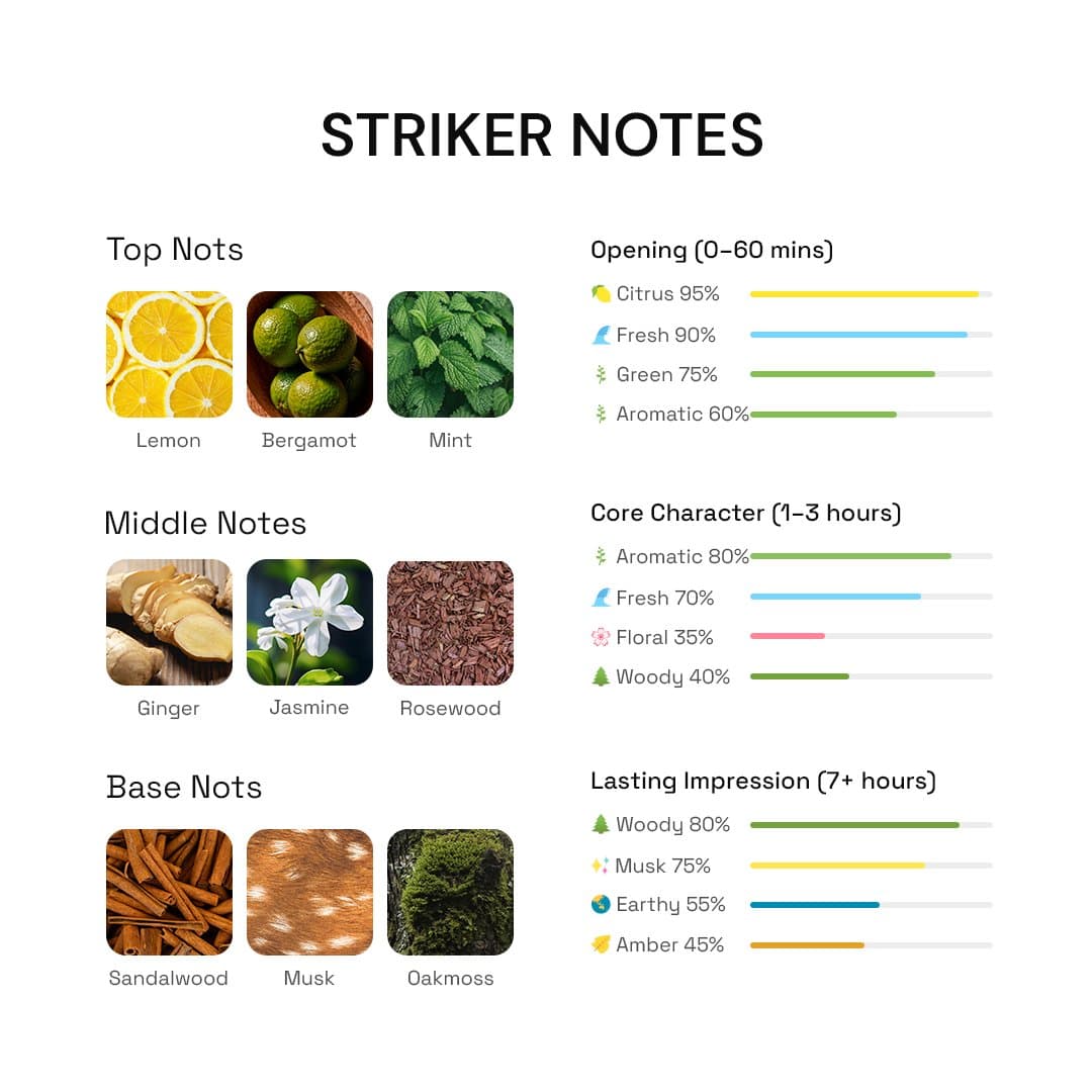 Striker mint lemon and ginger scent notes display